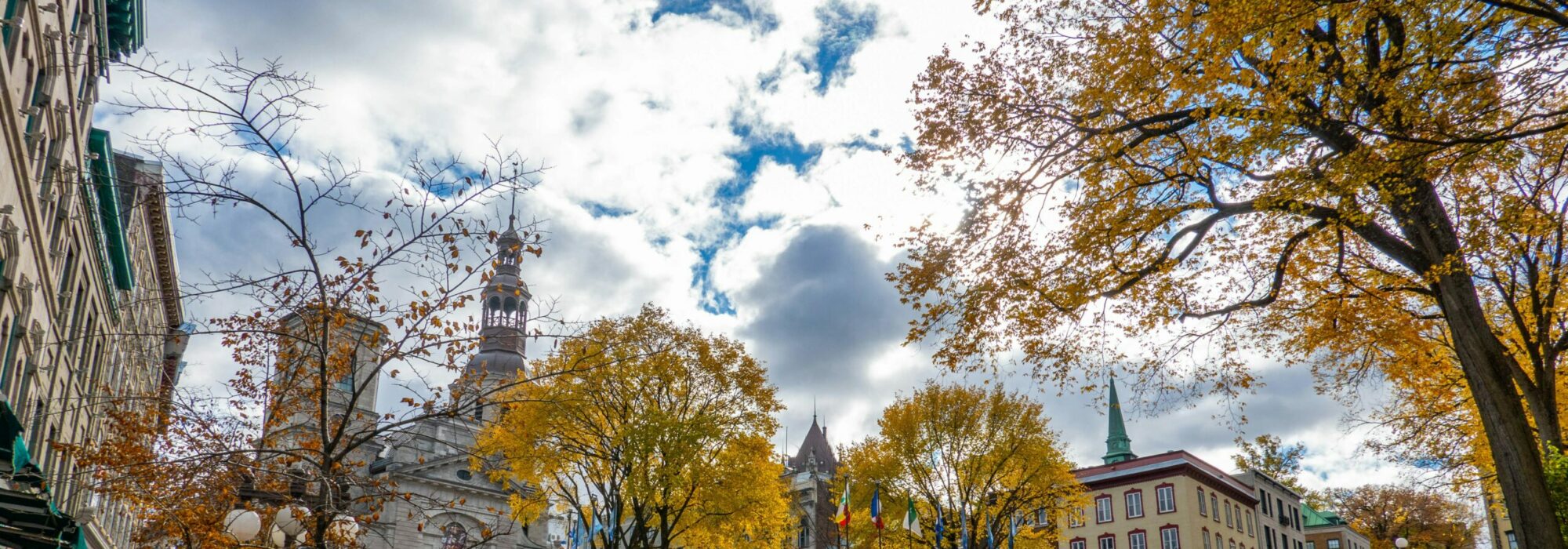 Centre-ville et coeurs villageois - QC